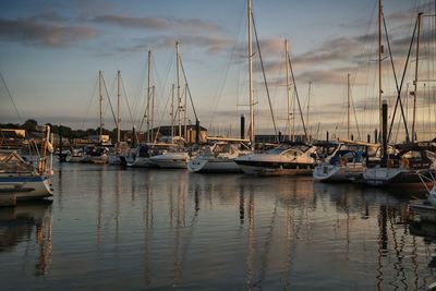 Sailboats moored at harbor