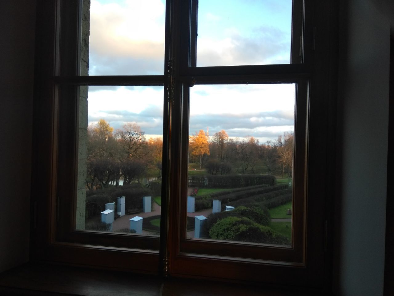 TREES AND PLANTS SEEN THROUGH WINDOW OF HOUSE