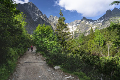 Panoramic view of trees and mountains against sky