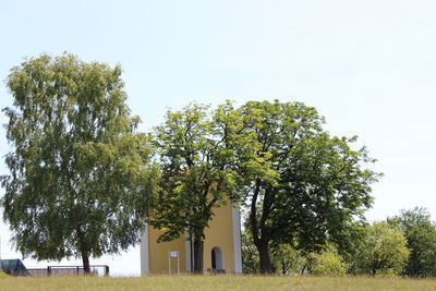 Trees growing on field against clear sky