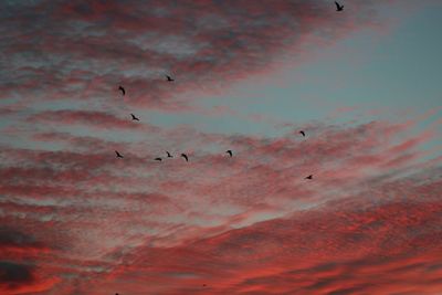 Low angle view of cloudy sky at sunset