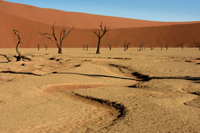 Scenic view of desert against clear sky