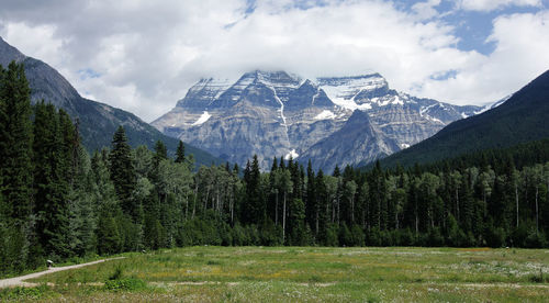 Scenic view of pine trees on snowcapped mountains against sky