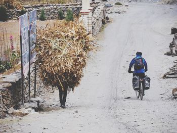 Rear view of man riding bicycle on road