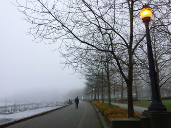 Street amidst trees against sky during winter