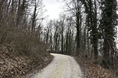 Dirt road amidst trees in forest