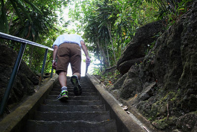 Rear view of man walking on steps