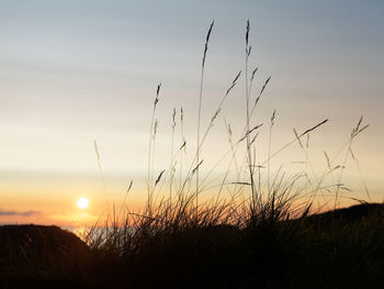 Scenic view of silhouette field against sky during sunset