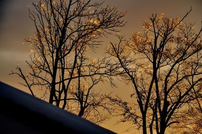 Low angle view of bare trees against sky at sunset