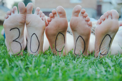 Close-up of grass