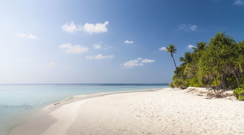 Scenic view of calm sea against sky