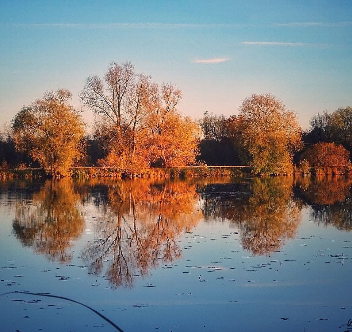 REFLECTION OF TREES IN LAKE AGAINST SKY