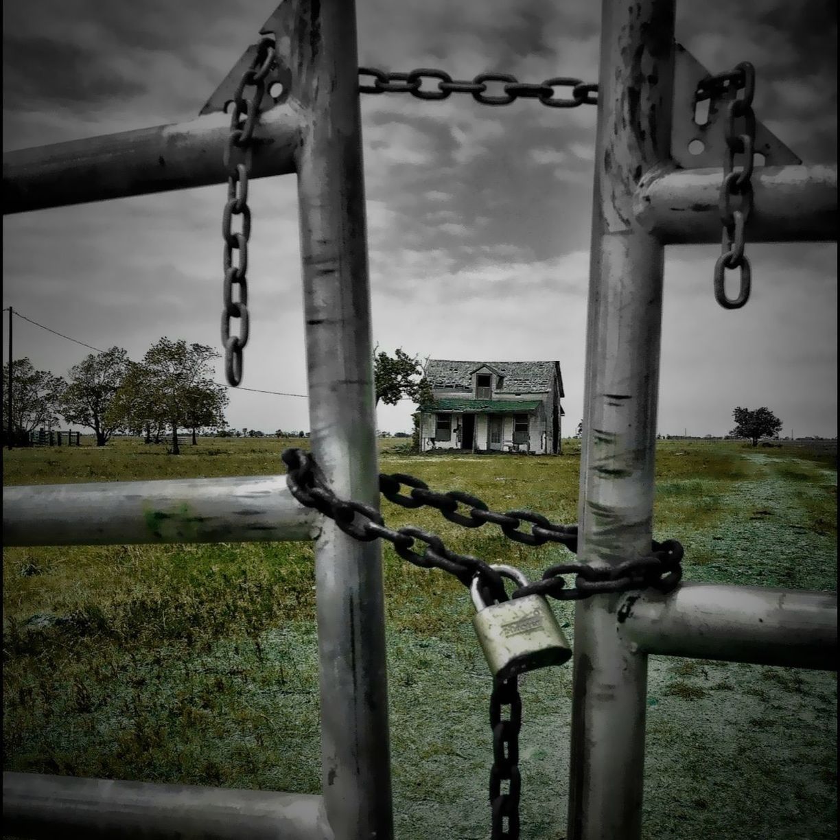 metal, fence, security, safety, protection, metallic, chainlink fence, sky, railing, focus on foreground, gate, close-up, chain, rusty, padlock, day, no people, field, grass, iron - metal