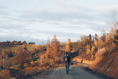 Rear view of man walking on road amidst trees