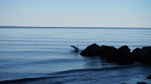 Scenic view of sea against clear sky
