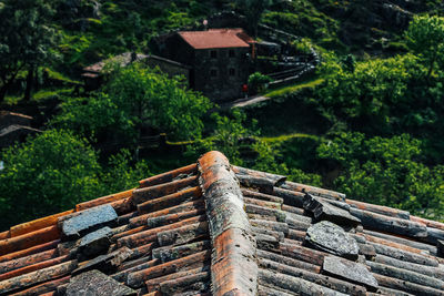 High angle view of roof and trees in forest