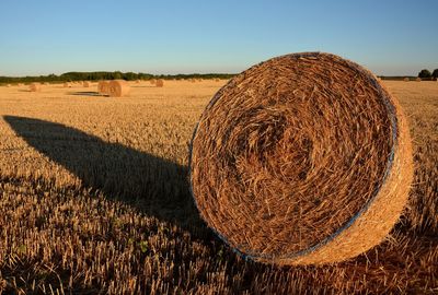 Bales of straw