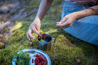 Woman hands prepare green tea made in touristic mug from wild strawberries, mint and st. john wort
