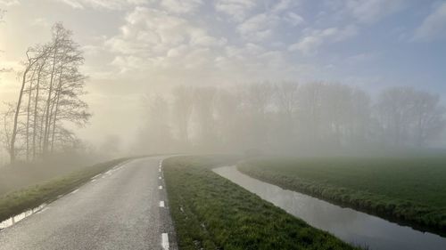 Road amidst trees against sky
