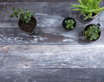 High angle view of fruits on table