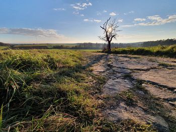 Scenic view of land against sky