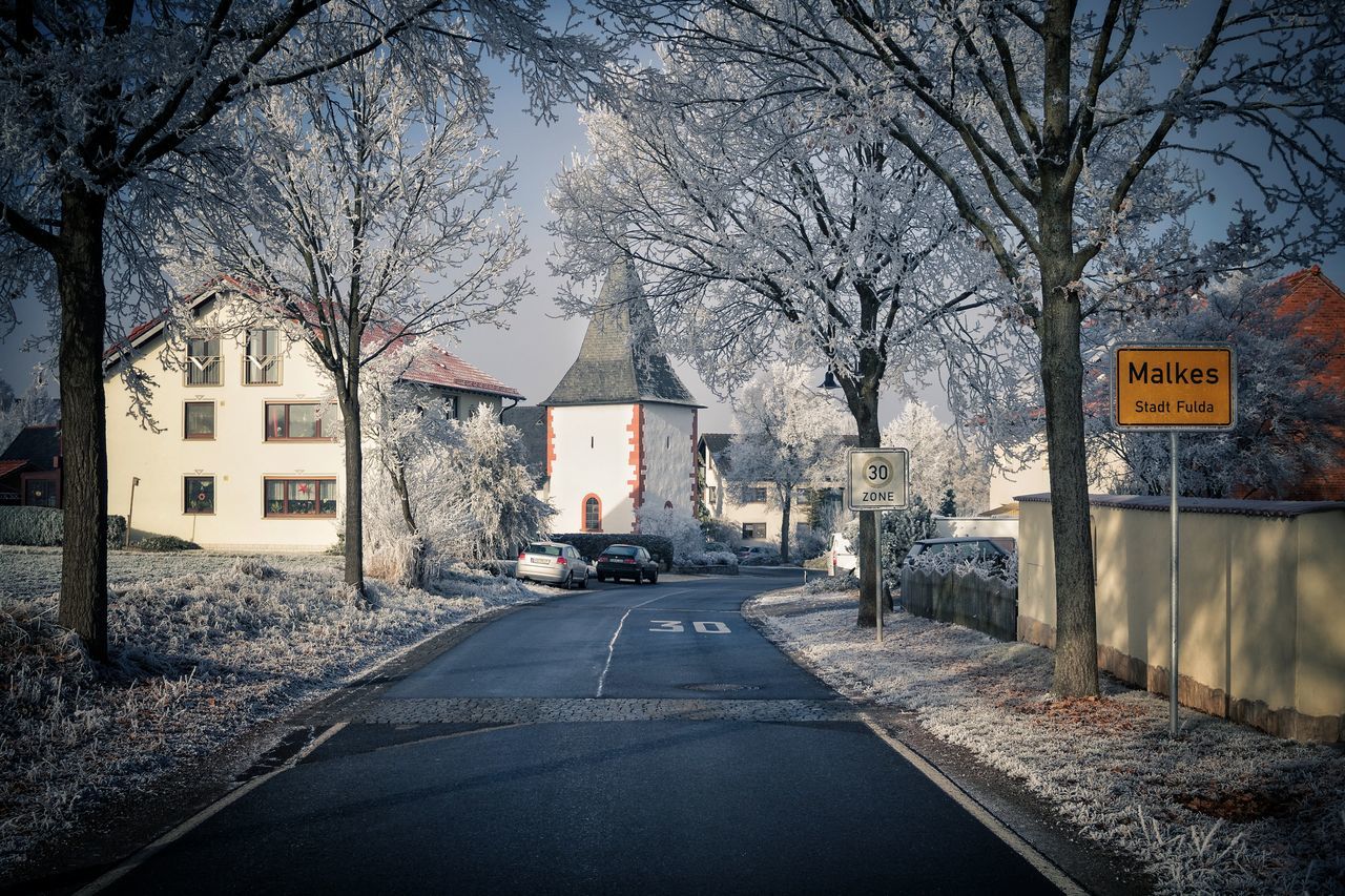 tree, road sign, guidance, road, building exterior, architecture, communication, no people, built structure, city, text, outdoors, day