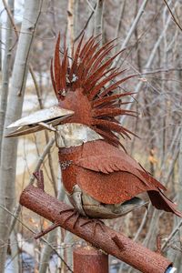 Close-up of bird perching on tree