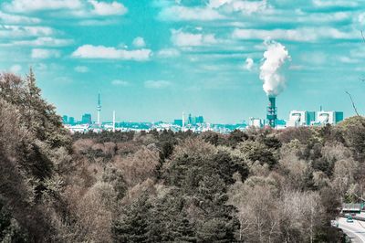 Trees against cloudy sky