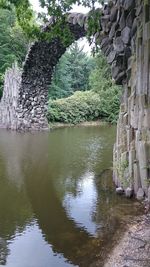 Reflection of trees in lake