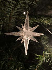 Close-up of illuminated christmas tree