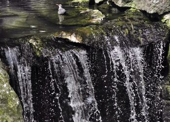 Rocks in water