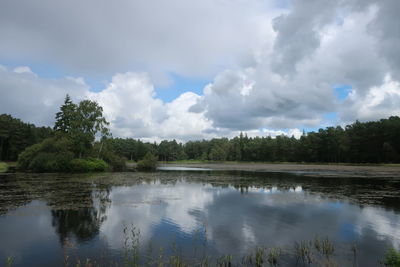 reflection