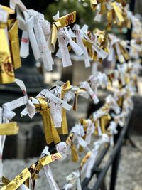 Close-up of christmas decorations