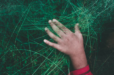 Close-up of hand holding leaf