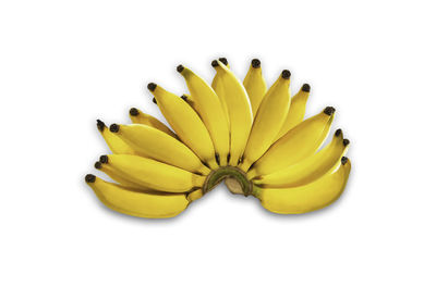 Close-up of bananas against white background
