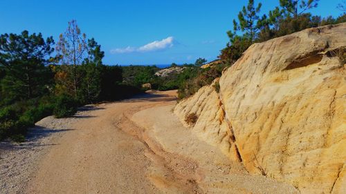 Dirt road passing through landscape