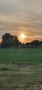Scenic view of field against sky during sunset