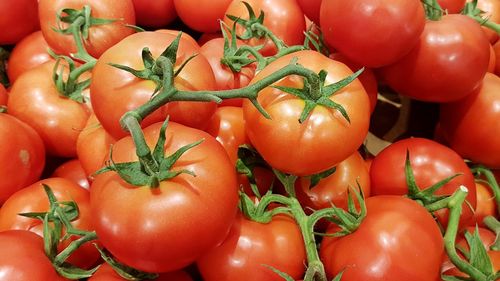 Full frame shot of tomatoes