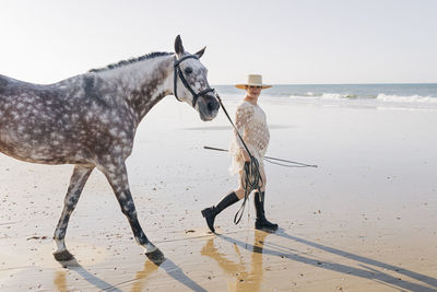 Pregnant woman with horse walking at beach