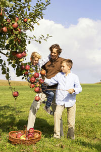 Father with two sons harvesting apples on rural meadow