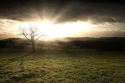 Scenic view of field against sky at sunset