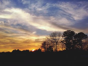 Silhouette trees against sky during sunset