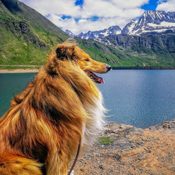 Scenic view of lake by mountain against sky