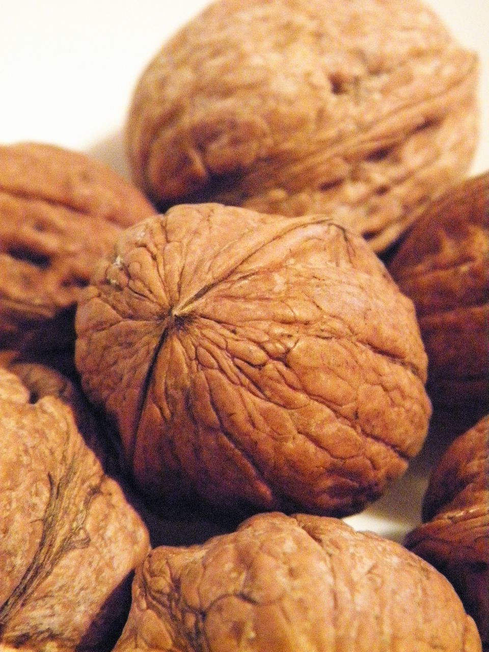 CLOSE-UP OF BREAD IN CONTAINER