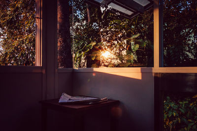 Illuminated trees seen through window