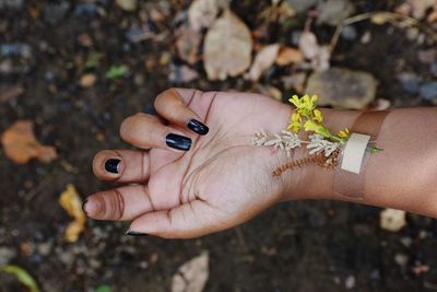 Close-up of woman hand holding outdoors