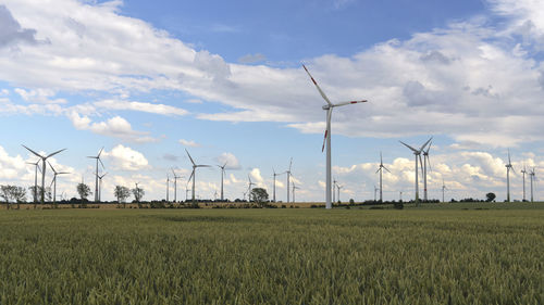 renewable energy