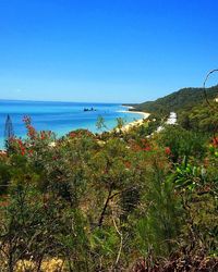 Scenic view of sea against clear blue sky