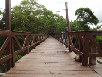 View of footbridge in forest