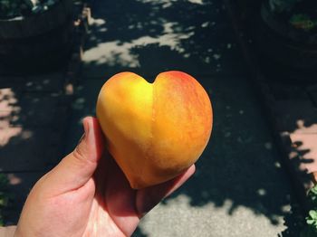 Close-up of hand holding heart shape